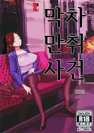 (C96) [UDS] 막차만취사건