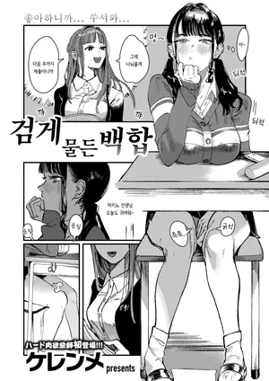 [kerenme] Kurozome no Yuri | 검게 물든 백합 (WEEKLY Kairakuten 2024 No.47) [Decensored] [Korean]
