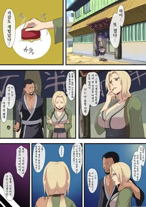 [Iwao] Tsunade Shakkin (Naruto) [Korean]