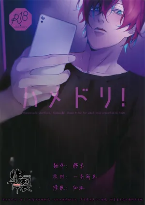 (Crazy Lyric Battle Shitou Kettou Zenjinmitou)[Tore(KAZU)] Hamedori! (Hypnosis Mic)[Chinese] [丁丁炸裂汉化组]