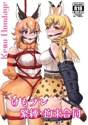 [Rorei Howittonee (Various)] Kemo Fri kinbaku kousoku goudou (Kemono Friends) [Digital]