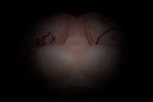 [アレンス] 苗床化体験 [Decensored]