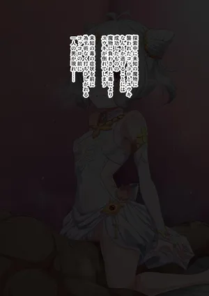 儀装束コッコロNTR