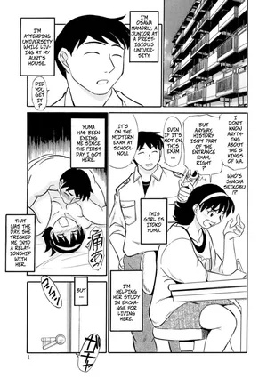 [Fujisawa Tatsurou] Geez, It's No Use! Here Comes The Tutor - My Dear Aunt (Hitozuma Hamegurui 4)