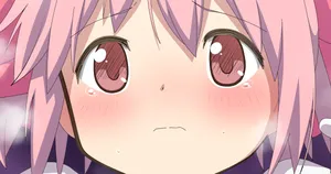 kaname madoka & akemi homura