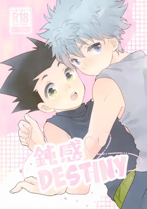 (Re:HUNTER 11) [SHIROZONE (Mizushiro Yuduki)] Donkan DESTINY (Hunter x Hunter)