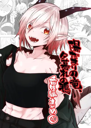 [Simauradou (Simaura)] Hidamari no ryuu, yugure no karasu Bangaihen Matome [Digital]