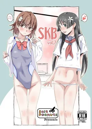 [Salt Peanuts (Niea)] SKB vol. 2 (Toaru Kagaku no Railgun) [Digital] (Korean)