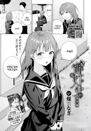 [Susukumo Nagi] Yoi Akari bangaihen (COMIC BAVEL 2025-01) [Korean]