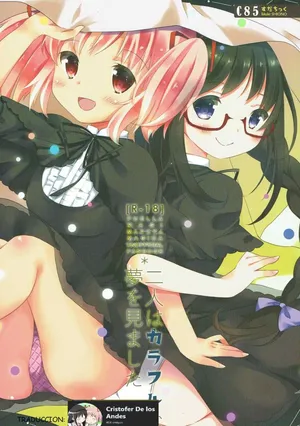 (C85) [Sudachic (Shiono Maki)] Futari wa Colorful na Yume o Mimashita (Puella Magi Madoka Magica)SPANISH(Traduccion:CristoferDeLosAndes)