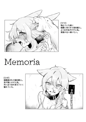 [Cuzoe (Chirota Rochi)] Memoria