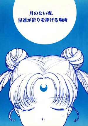 [Mad Tea Party (Karasawa Minko)] Tsuki no Nai Yoru, Hoshitachi ga Inori o Sasageru Basho (Bishoujo Senshi Sailor Moon)