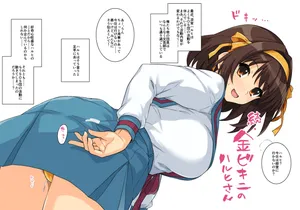 [Haruhisky] golden bikini miss Haruhi 2