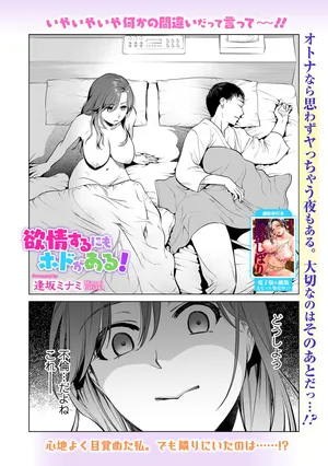 [逢坂ミナミ] 欲情するにもホドがある！