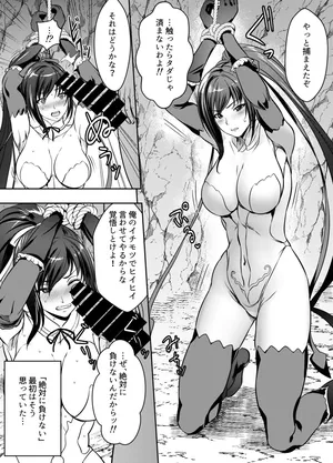 [Osuwaani] Request Itadaita Mono desu (Shining blade)