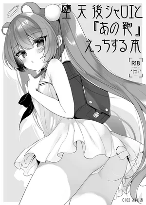 [23.4ド (イチリ)] 堕天後シャロエと『あの鞄』えっちする本 - (堕天計画総集編) [Chinese] [不咕鸟汉化组]