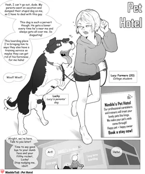 nimbletail Pet Hotel