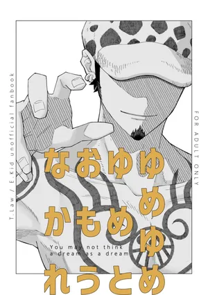 [MERIEIDO (Mizumoto)] You may not think a dream as a dream (One Piece) [Digital]